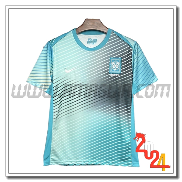 T Shirt Allenamento Corée Du Sud Blu/Grigio 2024 2025