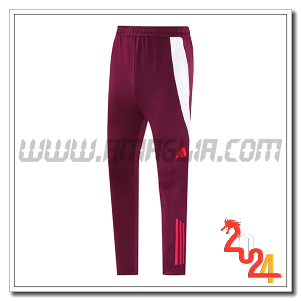 Pantaloni Da Allenamento Bayern Monaco Rosso 2024 2025