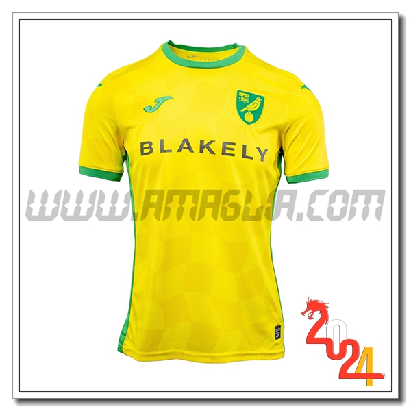 Norwich City Prima Nuovo Maglia 2024 2025