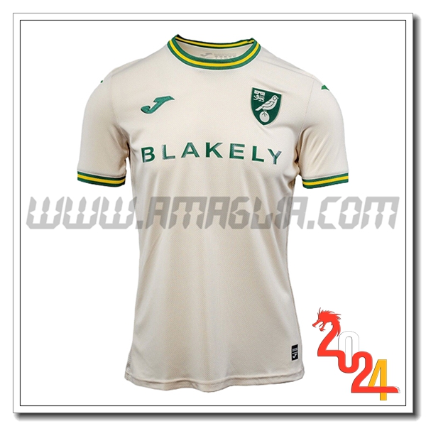 Norwich City Terzo Nuovo Maglia 2024 2025