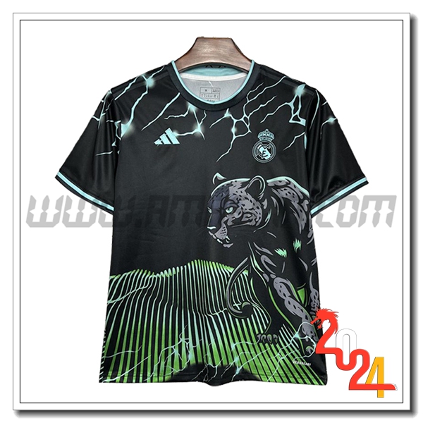 Maglia Calcio Real Madrid Edizione speciale 2024 2025 Verde