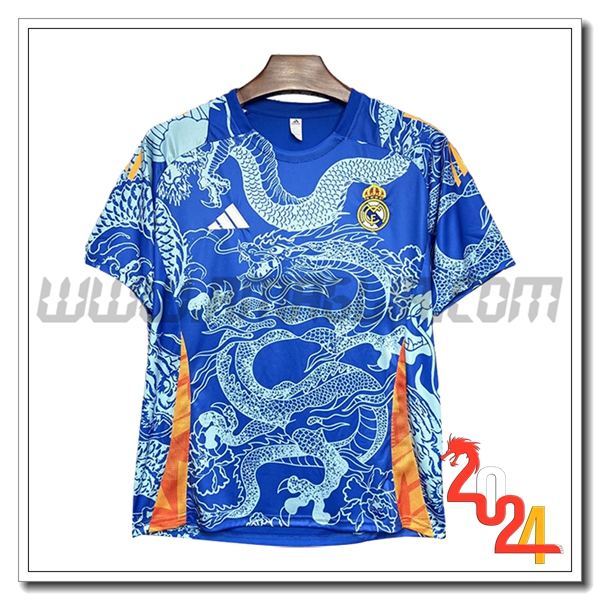 Maglia Calcio Real Madrid Edizione speciale 2024 2025 Blu