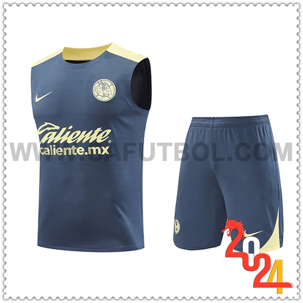 Kit Canotta Allenamento Club America Grigio/Giallo 2024 2025