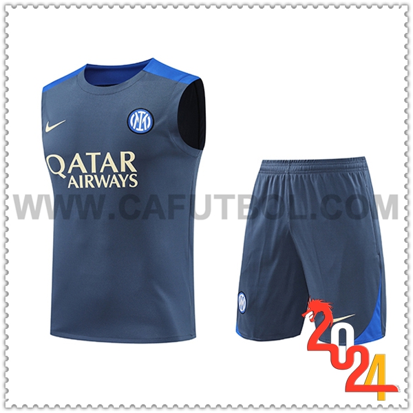 Kit Canotta Allenamento Inter Milan Grigio/Blu 2024 2025