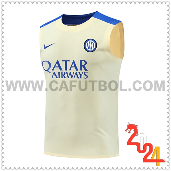 Canotta Allenamento Inter Milan Giallo/Blu 2024 2025