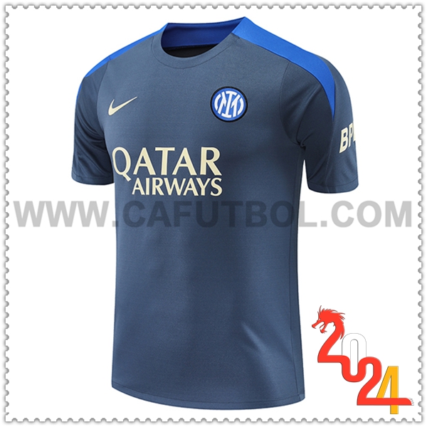 T Shirt Allenamento Inter Milan Grigio/Blu 2024 2025
