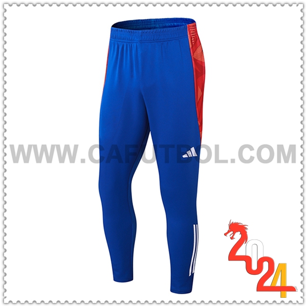 Pantaloni da Allenamento Adidas Blu/Rosso 2024 2025