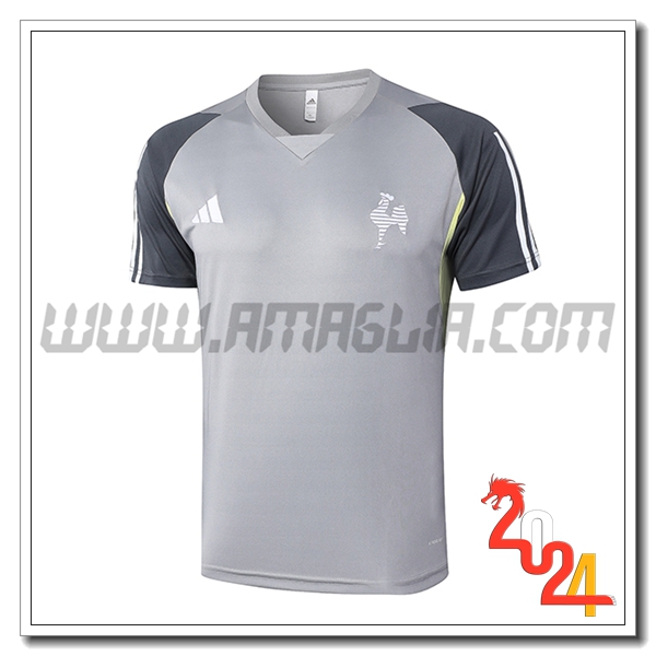 T Shirt Allenamento Atletico Mineiro Grigio 2024 2025