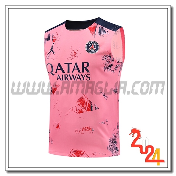 Canotta Allenamento PSG Rosa/Blu 2024 2025