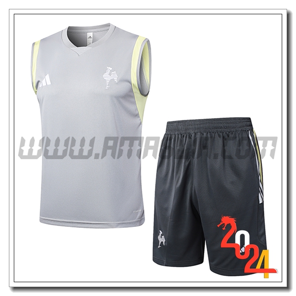 Kit Canotta Allenamento Atletico Mineir Grigio Chiaro 2024 2025