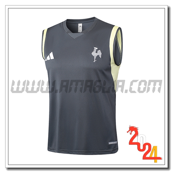 Canotta Allenamento Atletico Mineir Grigio Scuro 2024 2025