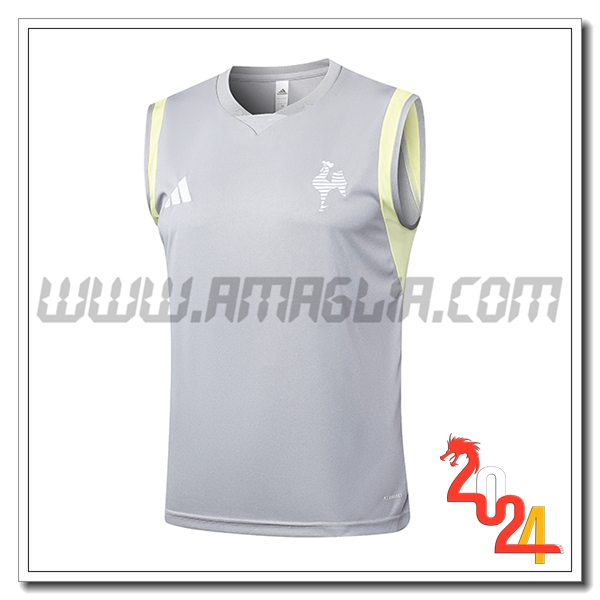 Canotta Allenamento Atletico Mineir Grigio Chiaro 2024 2025