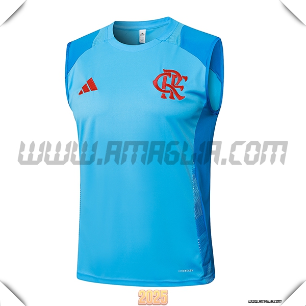 Canotta Allenamento Flamengo Blu 2025 2026