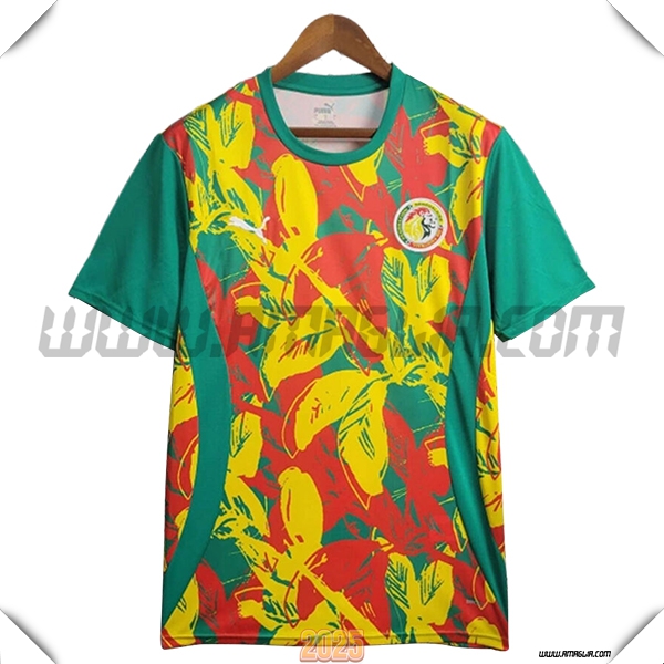 T Shirt Allenamento Senegal Verde/Giallo/Rosso 2025 2026