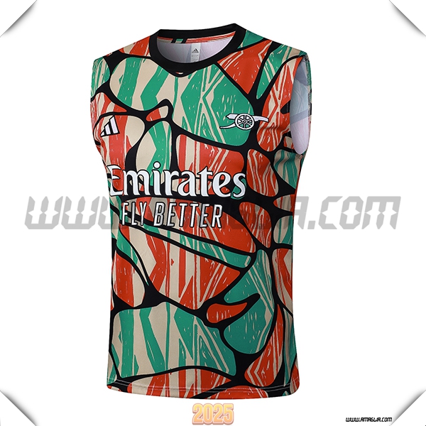 Canotta Allenamento Arsenal Rosso/Verde/Beige 2025 2026