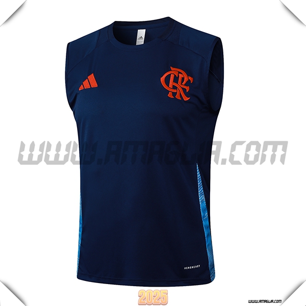 Canotta Allenamento Flamengo Blu Reale 2025 2026