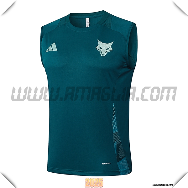 Canotta Allenamento Cruzeiro Verde 2025 2026