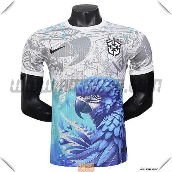 Maglia Squadra Brasile Edizione Speciale 2025 2026 Grigio/Blu
