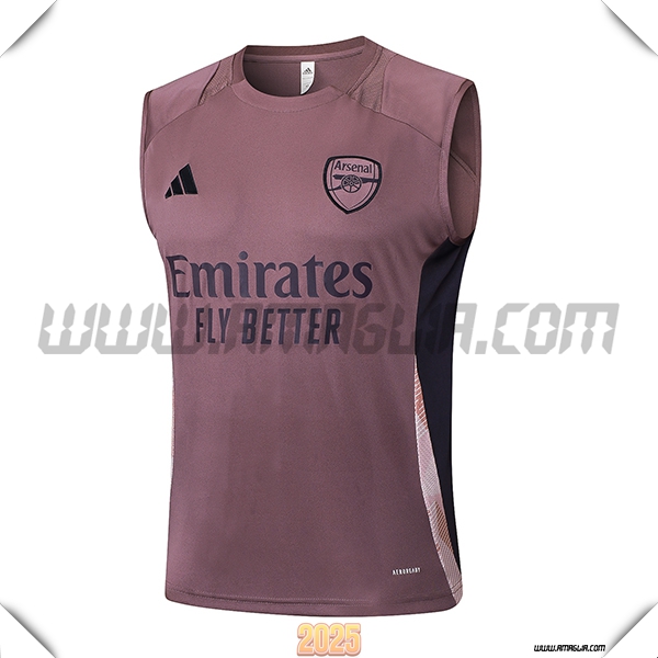 Canotta Allenamento Arsenal viola/Nero 2025 2026