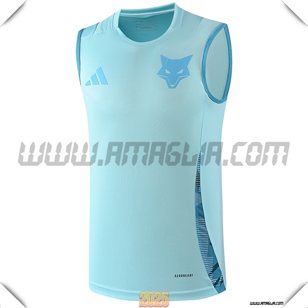 Canotta Allenamento Cruzeiro Azzurro 2025 2026