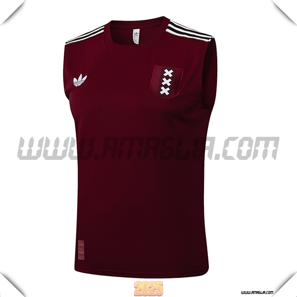 Canotta Allenamento Ajax Marrone/Bianco 2025 2026