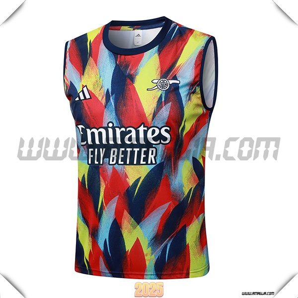 Canotta Allenamentos Arsenal Rosso/Blu/Giallo 2025 2026