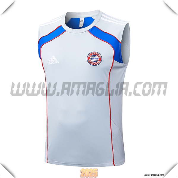 Canotta Allenamento Bayern Monaco Grigio/Rosso/Blu 2025 2026