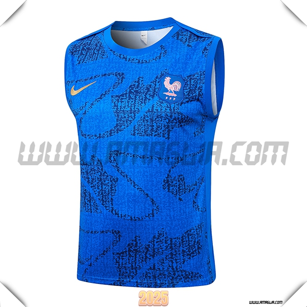 Canotta Allenamento Francia Blu 2025 2026