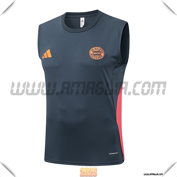 Canotta Allenamento Bayern Monaco Grigio/Arancia 2025 2026