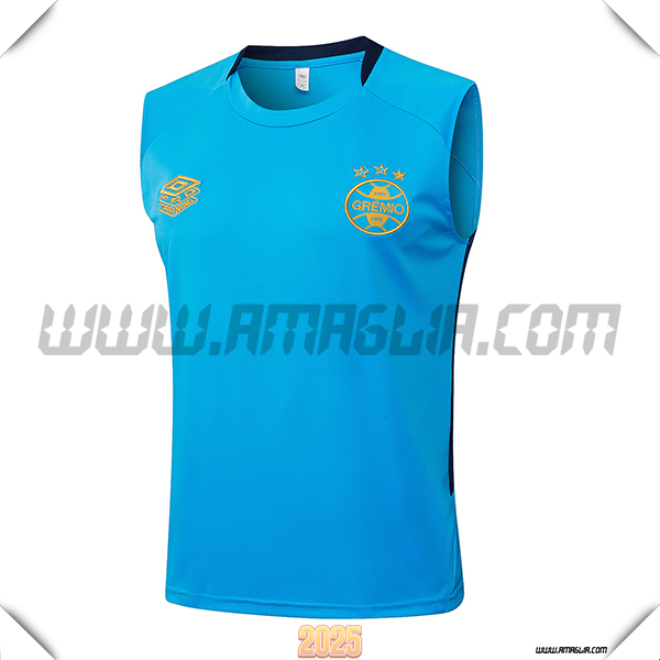 Canotta Allenamento Gremio Blu 2025 2026