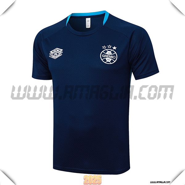 T Shirt Allenamento Gremio Blu Reale 2025 2026