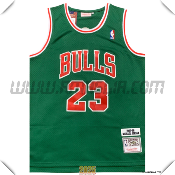 Maglia Chicago Bulls (JAMES #23) 2025/26 Verde/Rosso