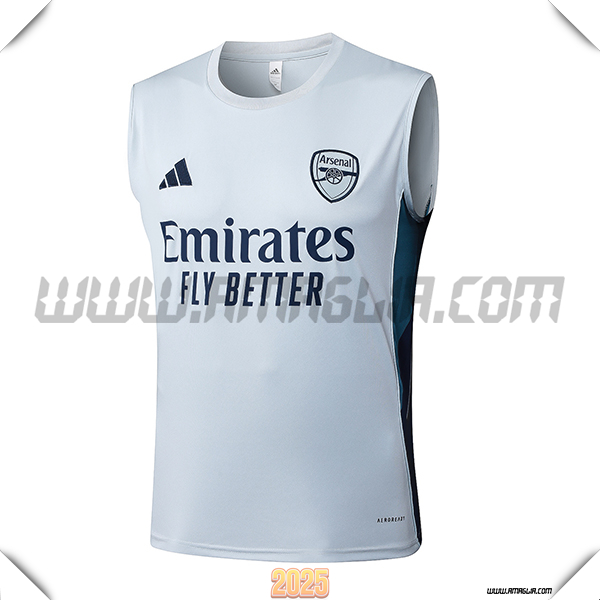 Canotta Allenamento Arsenal Grigio Chiaro 2025 2026