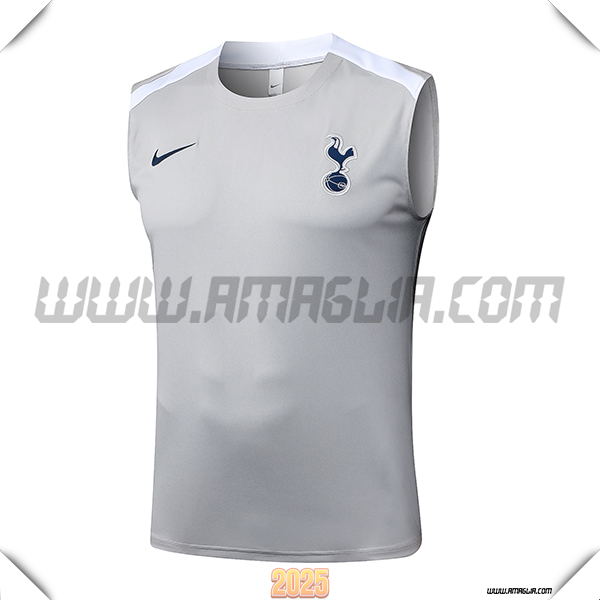 Canotta Allenamento Tottenham Hotspur Grigio/Bianco 2025 2026