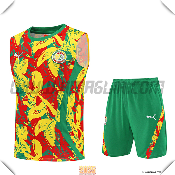 Kit Canotta Allenamento Senegal Giallo/Rosso/Verde 2025/26