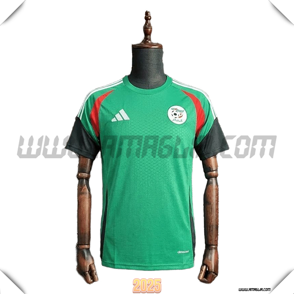 Training T-Shirt Algeria Verde/Bianco/Rosso 2025/26