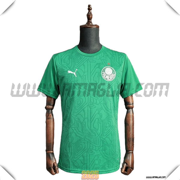 Training T-Shirt Palmeiras Verde 2025/26