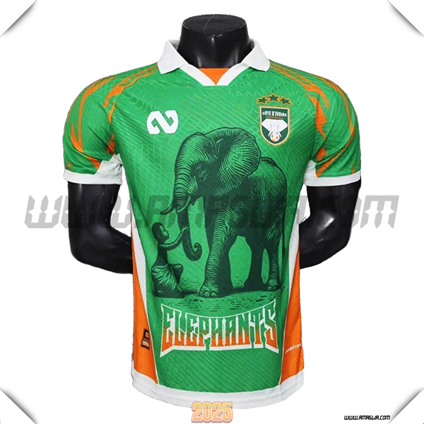 Maglia Squadra Costa d'Avorio Edizione Speciale Verde 2026/2027