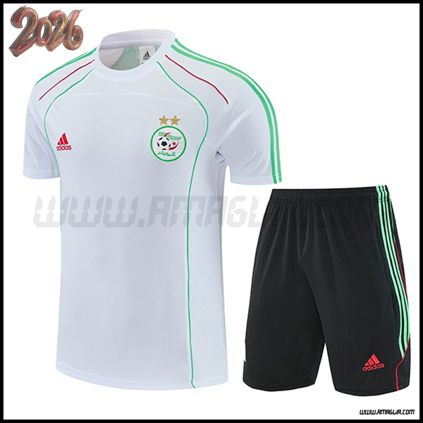 Kit Maglia Allenamento Algeria Bianco/Verde 2025/2026