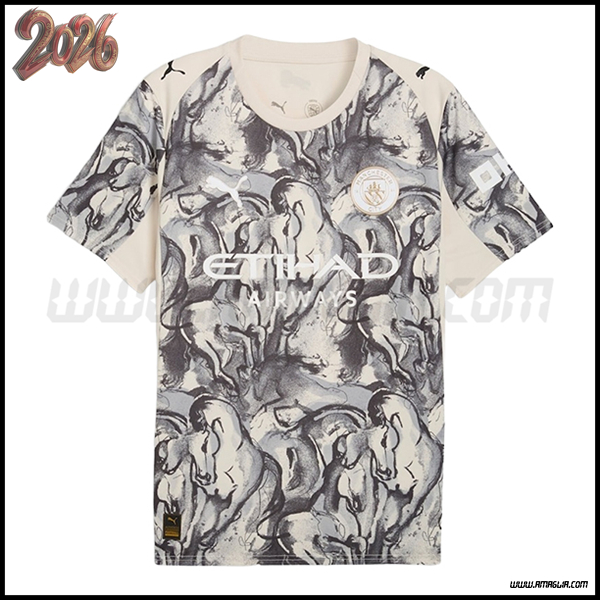 Maglia da Manchester City Edizione Speciale Grigio 2025/2026